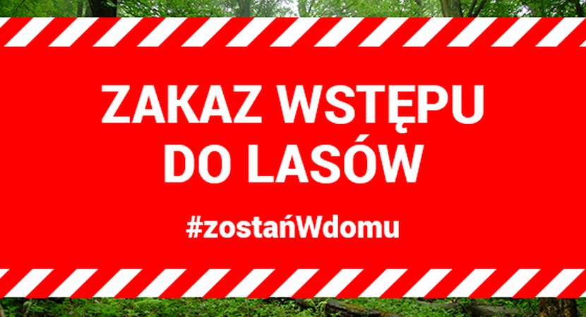 TYMCZASOWY ZAKAZ WSTĘPU DO LASU