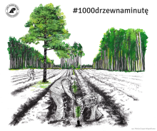 Sadzimy 1000 drzew na minutę