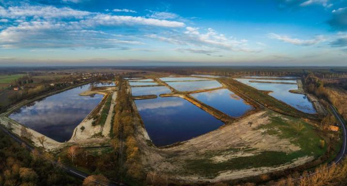 Stawy&#x20;Lubiec&#x20;w&#x20;Nadleśnictwie&#x20;Bełchatów