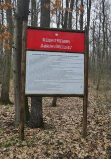 Komunikat o usunięciu drzew pochylonych w rezerwacie „Świetlista Dąbrowa”